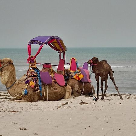 Dar El Kahina Djerba Hotel Mezraia ภายนอก รูปภาพ