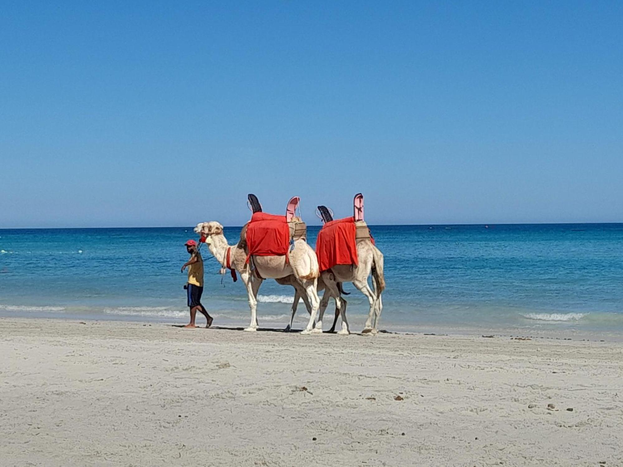 Dar El Kahina Djerba Hotel Mezraia ภายนอก รูปภาพ